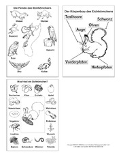 Grafiken-Eichhörnchen-SW.pdf